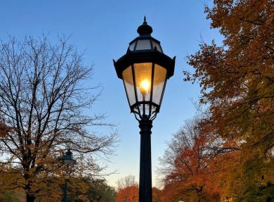 Сквер &quot;Сокольники&quot; оборудуют новым освещением