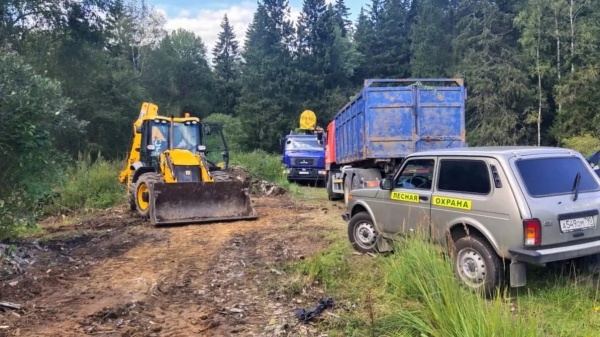 Леса в Коломне избавили от навалов мусора