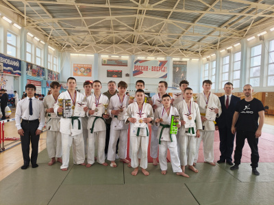 Традиционный турнир по дзюдо среди юношей 2012-2014 г. р. состоялся в Серебряных Прудах