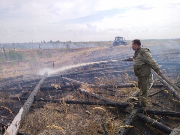 За неделю в лесах региона ликвидировали 13 пожаров
