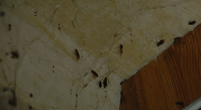 Не жизнь, а выживание