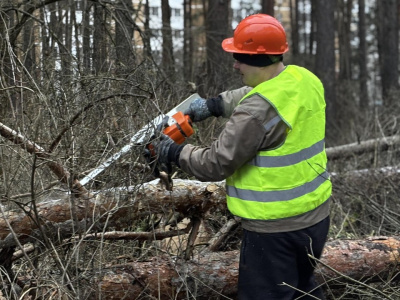 Мособллес наводит порядок в Москворецком лесопарке  
