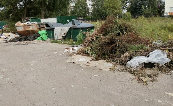 Порядка 300 замечаний по поводу мусора устранили в Коломне с начала лета