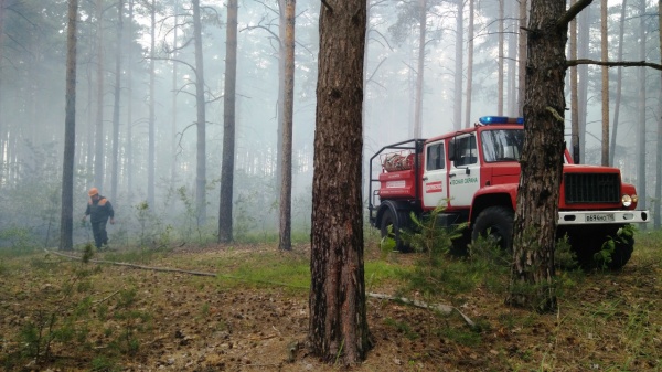 Луховицы и Воскресенск получат новые лесопожарные автоцистерны