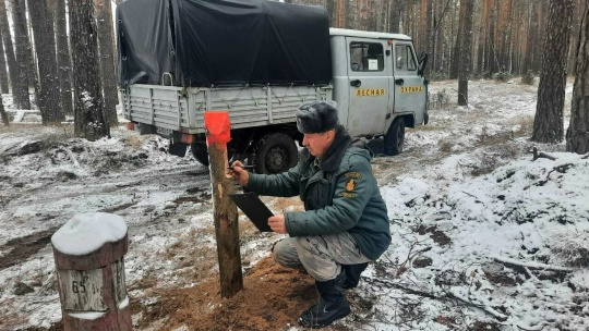 Лесопатологическое обследование привело к выделению участка для граждан  