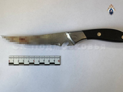 Жительница Егорьевска задержана по подозрению в покушении на убийство сожителя  