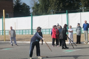 Зарайские пенсионеры соревновались в городошном спорте