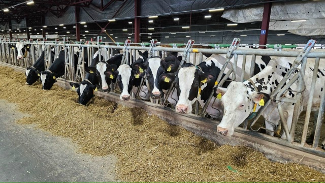 Итоги сельскохозяйственного сезона подвели в &quot;ОСП агро&quot;