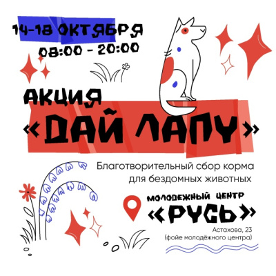 Коломенские волонтёры проводят акцию "Дай лапу!"