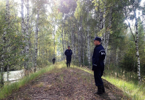 В лесу в городском округе Коломна заблудились два человека