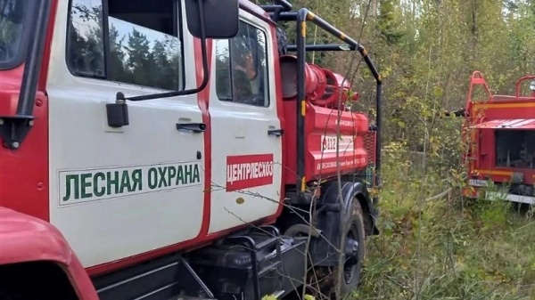 Противопожарная кампания "Останови огонь!" стартует в Подмосковье 15 марта