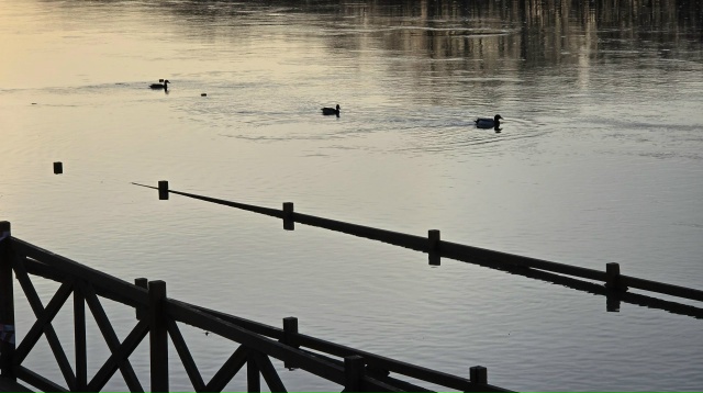 Уровень воды в реках Коломны снижается
