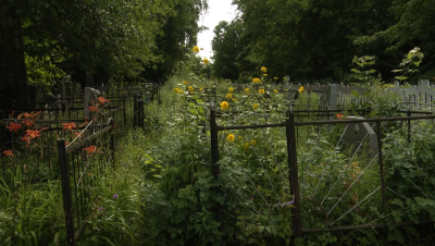 Некому ухаживать