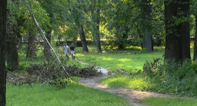 Парк на улице Пионерской забыт и заброшен