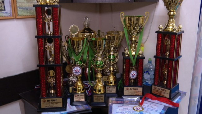 Открытый Кубок Сейкен 