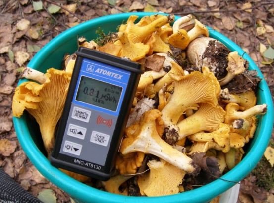 Ягоды и грибы проверяют на содержание радионуклидов  