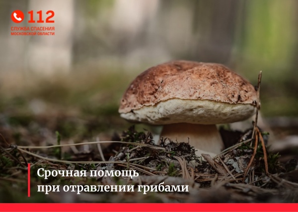 Что делать при отравлении грибами?