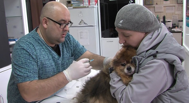 В Луховицах проснулись клещи