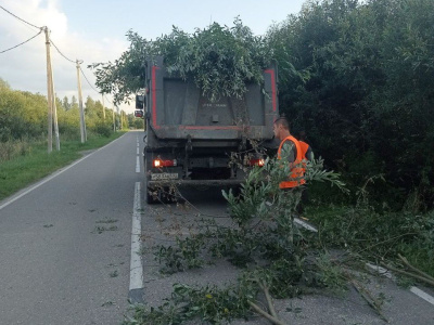 По просьбам жителей в Большом Карасёве опилили деревья 
