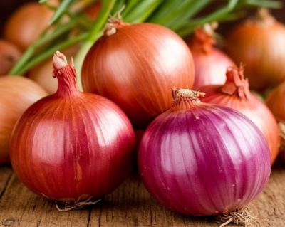 Лук-севок для весенней реализации прошёл проверку в Коломне