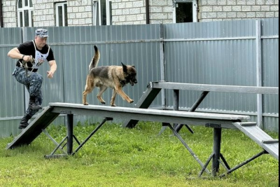 Ежегодные соревнования по многоборью среди специалистов-кинологов со служебными собаками на первенство ГУФСИН прошли в Коломне