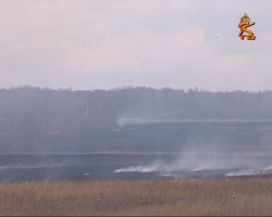 Пожарные бьют тревогу: случаи возгорания сухой травы участились