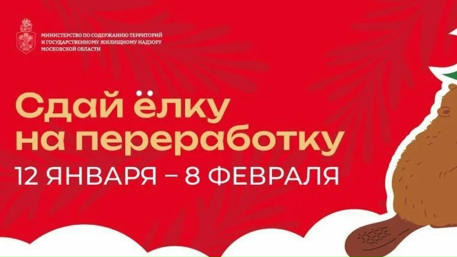 "Сдай ёлку на переработку"