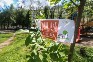 Организаторы акции "Наш лес. Посади свое дерево" запустили фотоконкурс