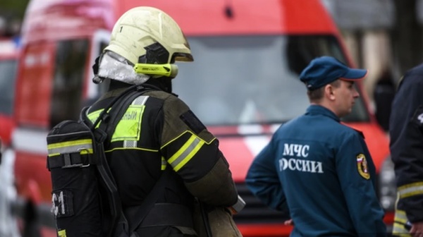 Москва направила в Рязанскую область спасателей и технику для тушения лесных пожаров