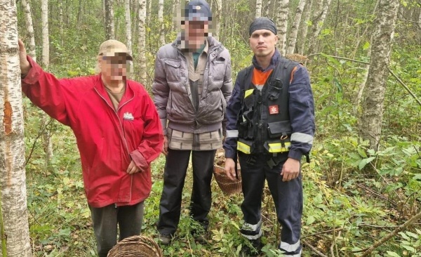 28 грибников заблудились в лесах Подмосковья на выходных
