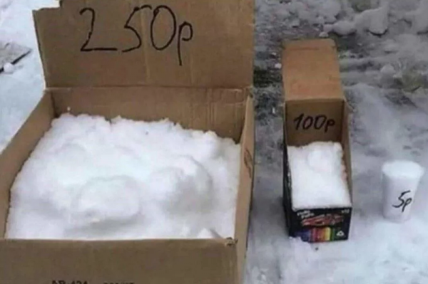 Ушлые жители Подмосковья торгуют снегом в интернете