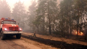 За прошедшие сутки в регионе ликвидировано три лесных пожара