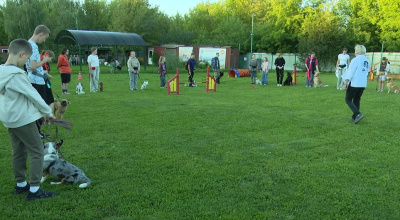 Очередная смена &quot;Юных кинологов&quot; готовится к выпускному экзамену