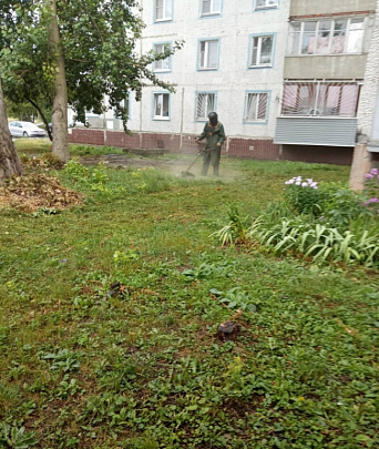 ДГХ просит горожан по возможности огораживать клумбы
