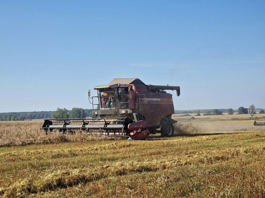 Показатели урожая пшеницы и овса в Воскресенске превысил Подмосковные