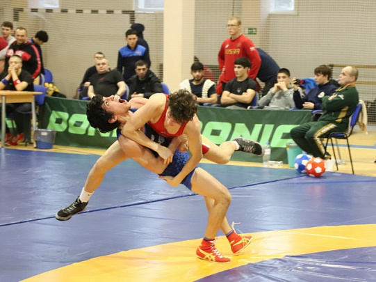 Новогодний турнир по греко-римской борьбе в Луховицах