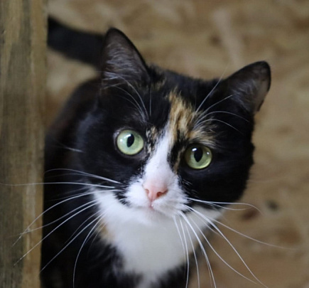 Поспешите помочь!