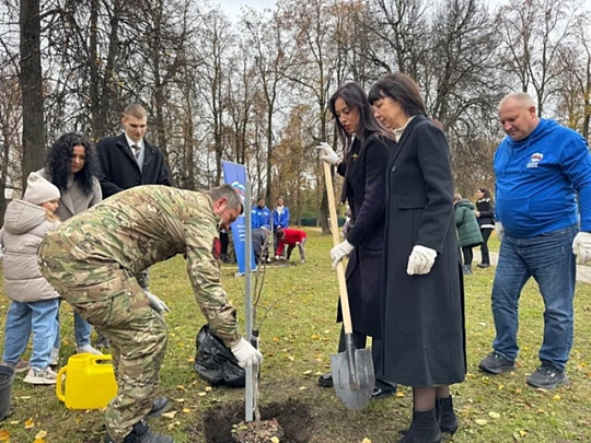 В сквере "Окский" высадили липовую аллею