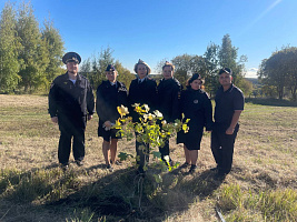 В Коломне полицейские присоединились к акции "Лес Победы"