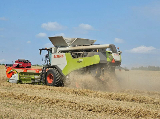 В Озёрах начали убирать зерновые