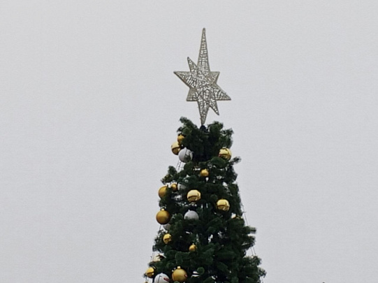 Установка ёлок к зиме – приятное предвкушение для жителей  