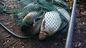 Филиал «ВМУ» провел корпоративный турнир по рыбалке