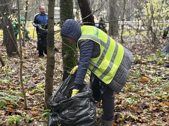 В Воскресенске прошла экологическая акция &quot;Чистое Подмосковье&quot;