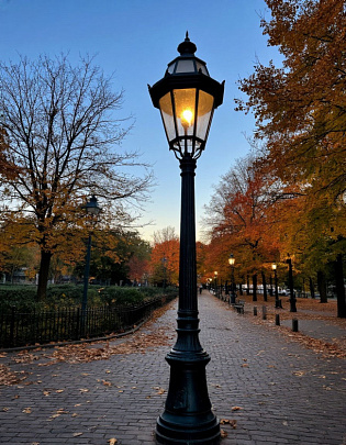 Сквер &quot;Сокольники&quot; оборудуют новым освещением