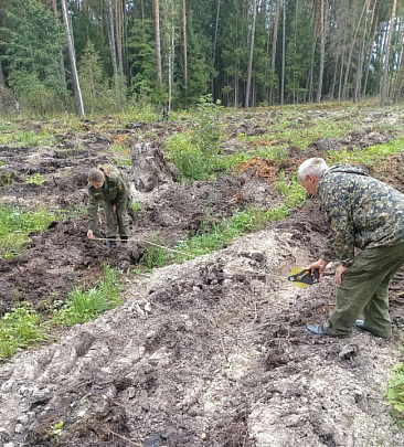 В муниципальном округе Луховицы подготовили почву под посадку молодого леса