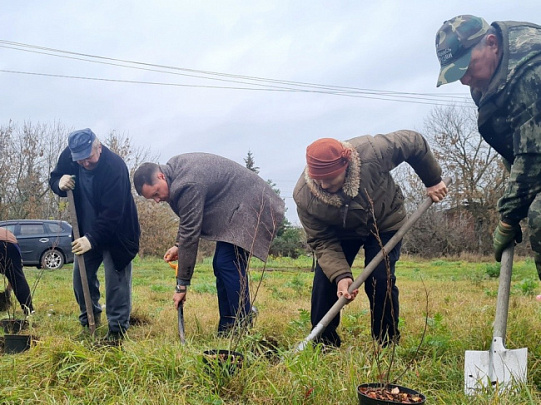 В Луховицах заложили "Аллею отцов"