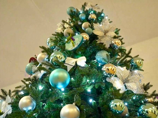  Егорьевская "Ёлка желаний" набирает обороты