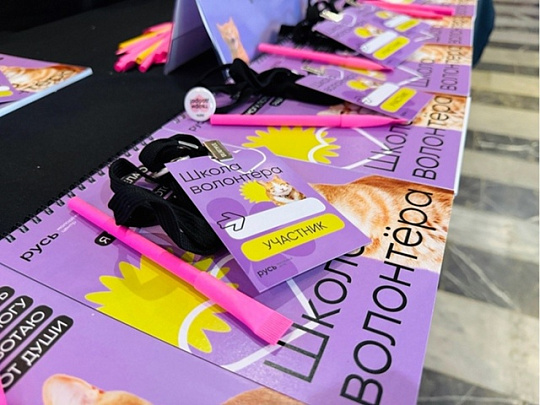 В Коломне начала работать Школа волонтёра