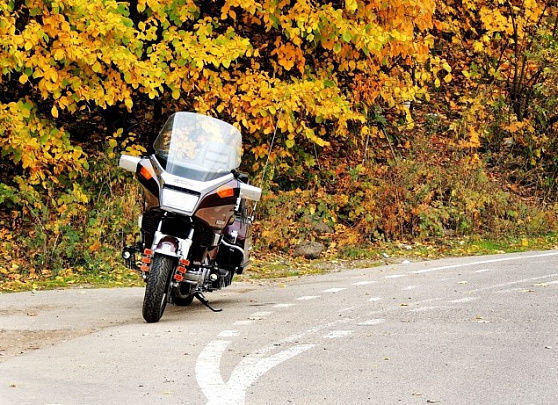 Из-за понижения температуры в Подмосковье объявили о завершении мотосезона
