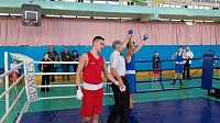 Коломенские боксёры отличились на турнире